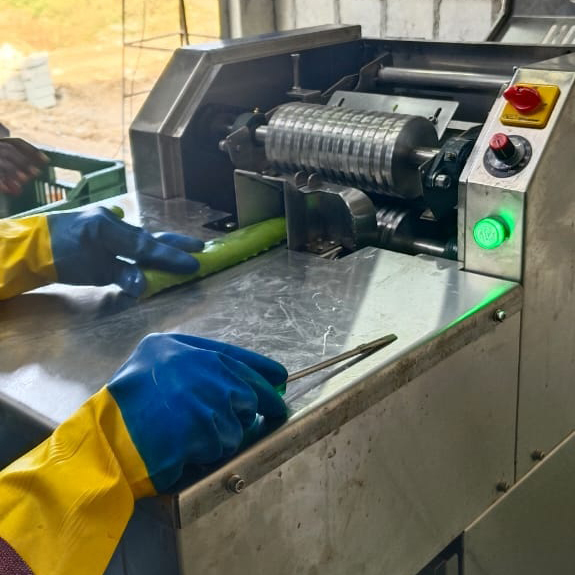 Natural Aloe Vera Pulp