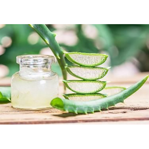 Aloe Vera Pulp Extraction