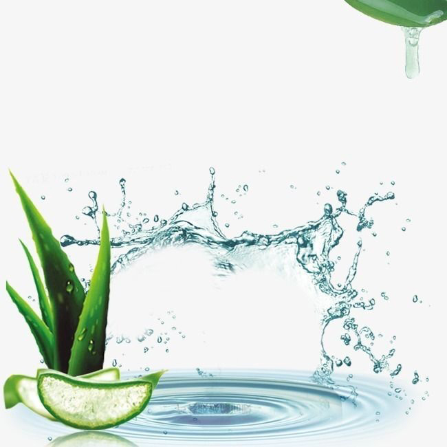 Aloe Vera Pulp Extraction