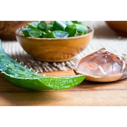 Natural Aloe Vera Pulp Extraction