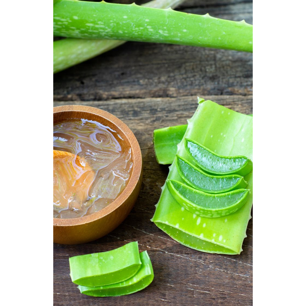 Natural Aloe Vera Pulp Extraction