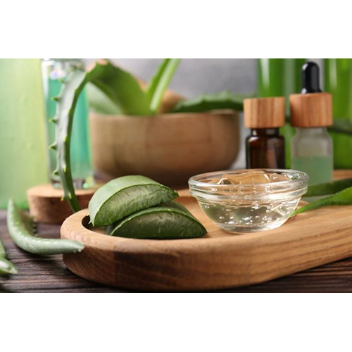 Aloe vera Gel Extraction