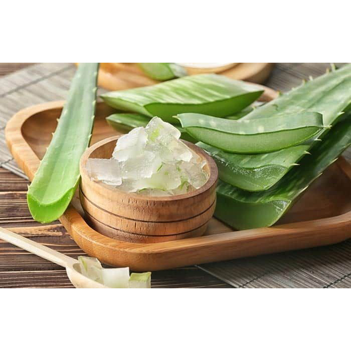 Aloe vera Gel Extraction