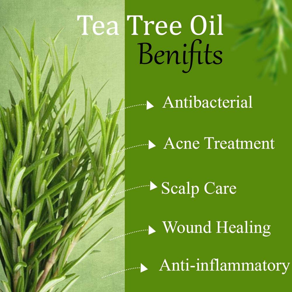 Turcy Tea Tree Essential Oil  Pure, Natural & Cold-Pressed for Skin Care, Hair Care,& Acne Treatment(30ml)