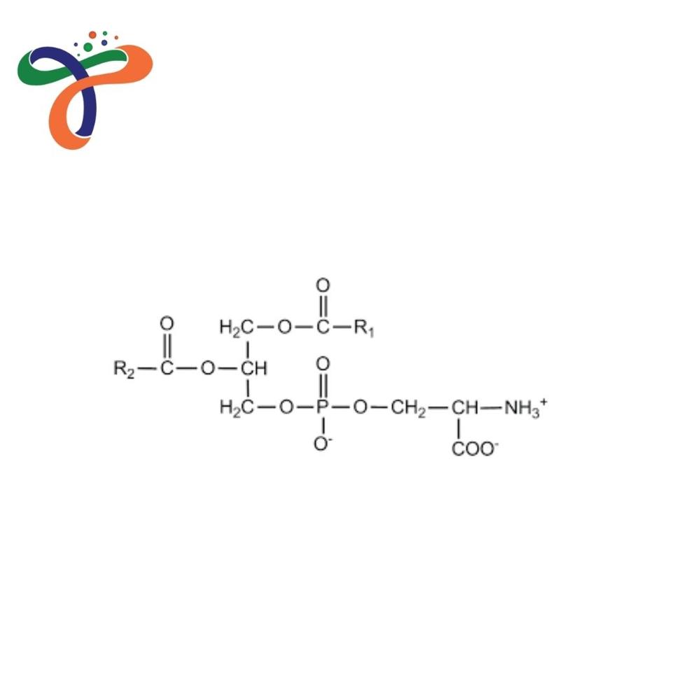 Phosphatidylserine (51446-62-9)