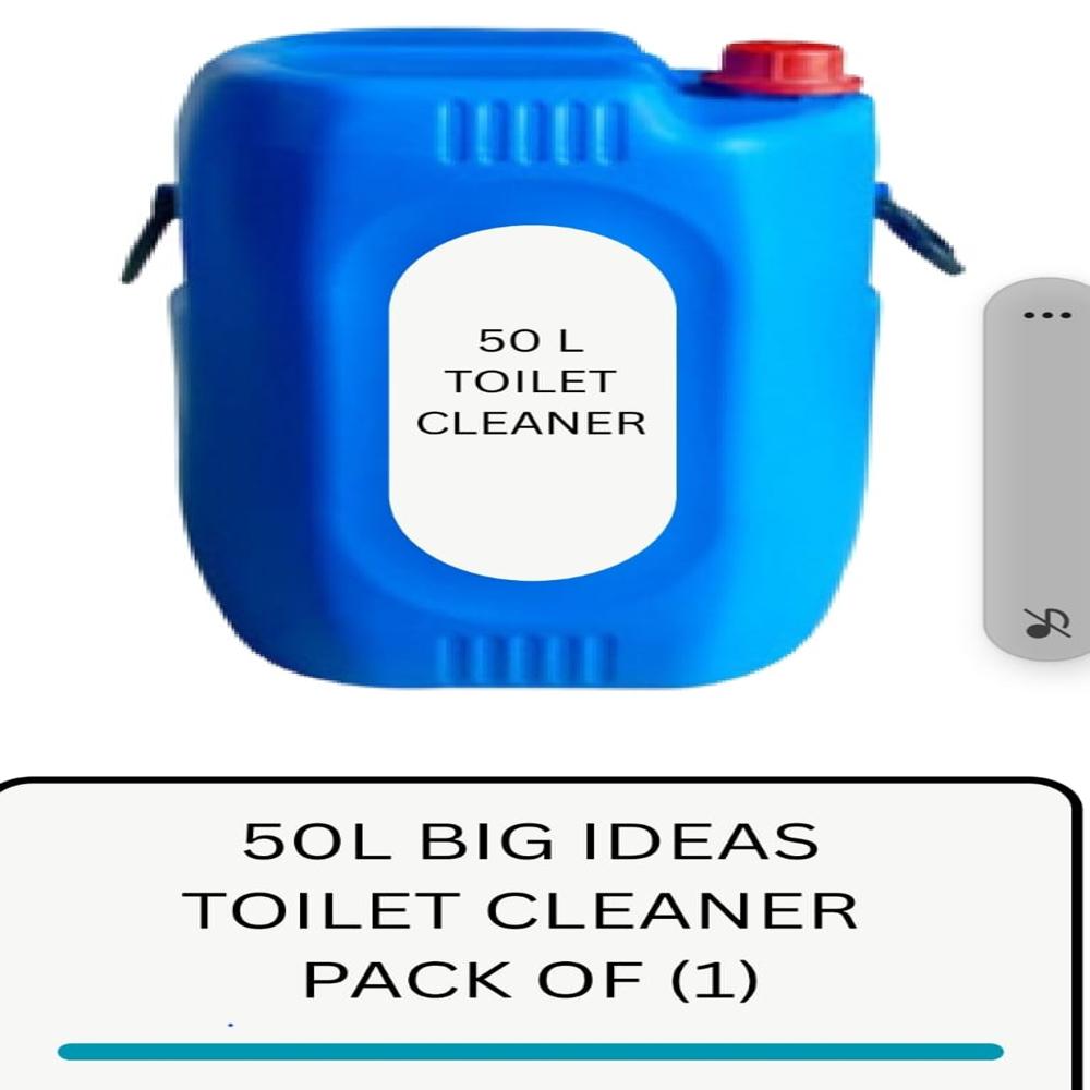50L big ideas toilet cleaner
