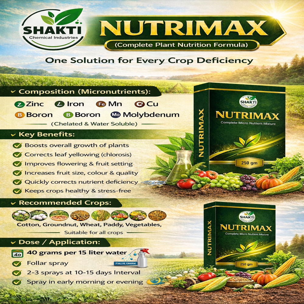 Fipronil40% + imidaclopride 40% wg