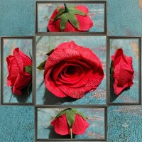 Paper Rose Flower - Design Type: Customizable