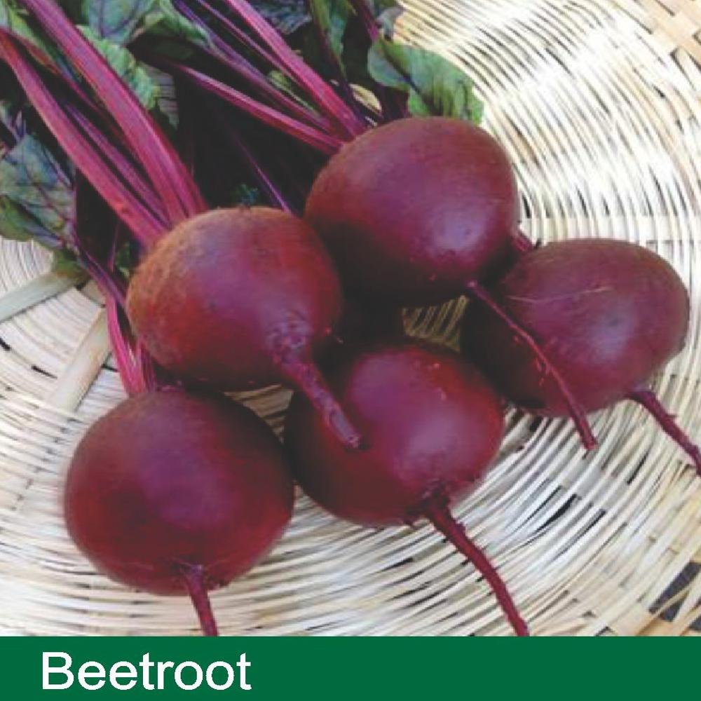 BEET ROOT SEEDS