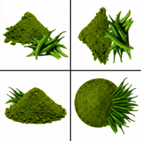Green Chili Powder - Cultivation Type: Natural