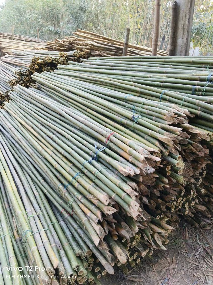 8ft Murli Bamboo Pole