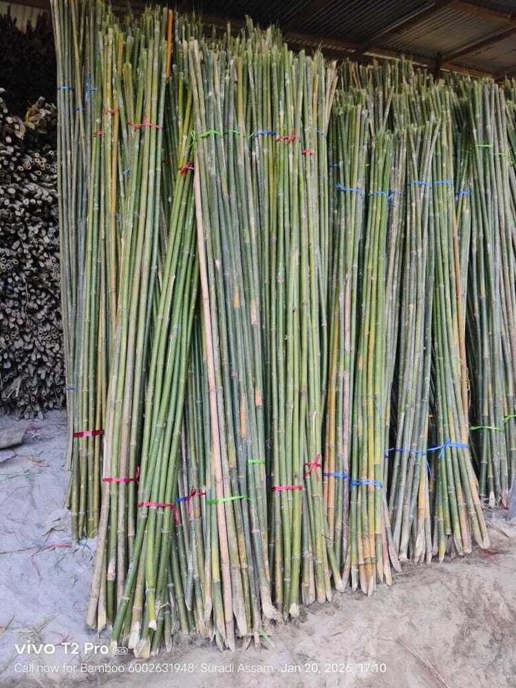 10ft Murli Bamboo Pole