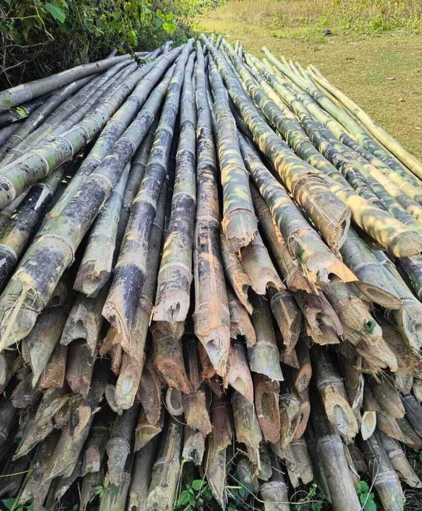 24ft Super Bamboo Pole