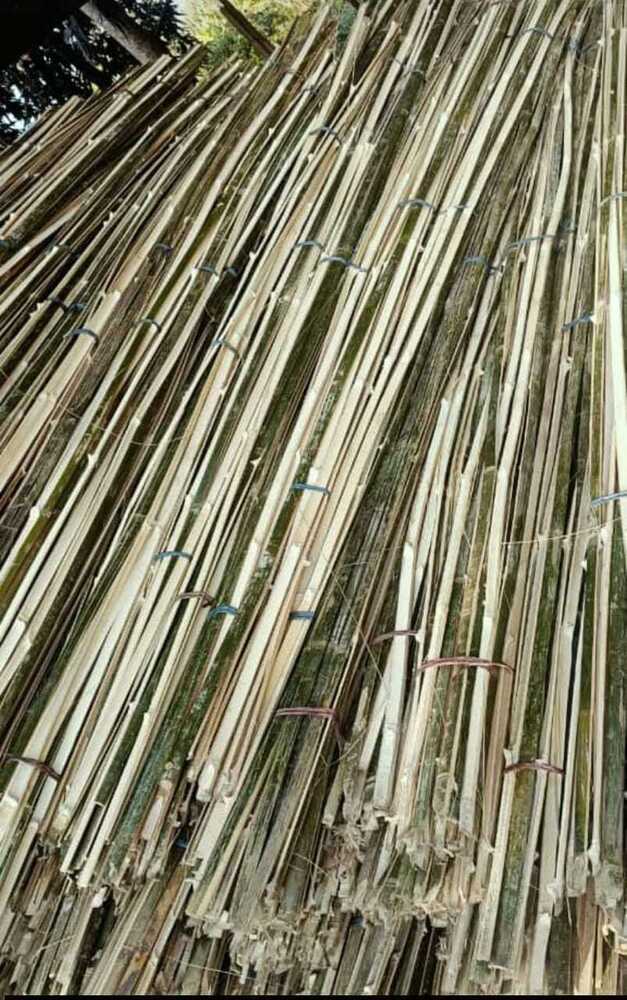 30ft Murli Bamboo Pole