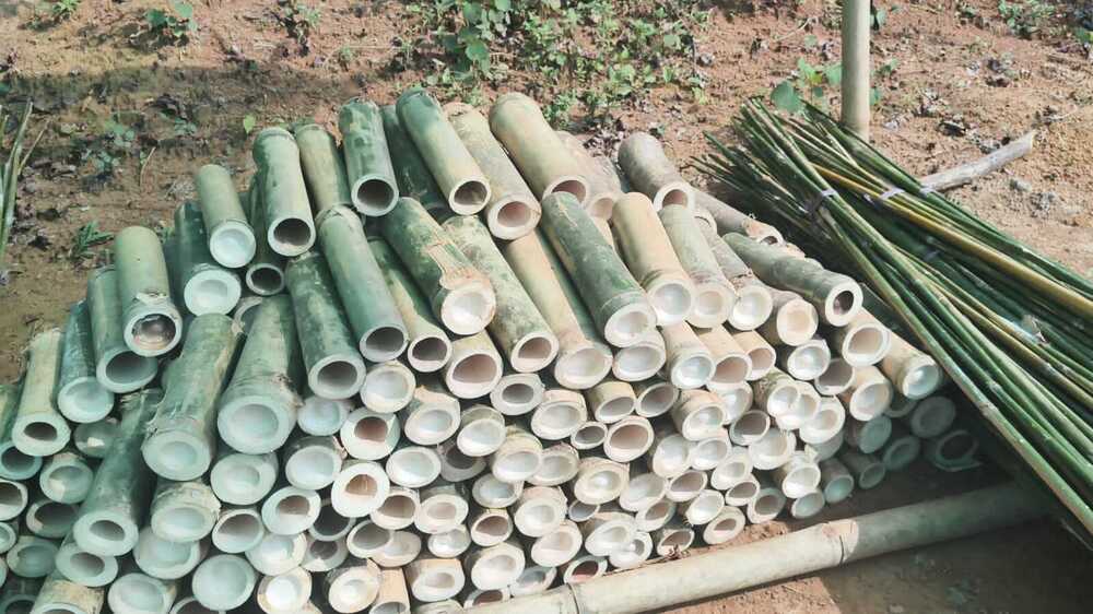 1ft Bamboo Poor Tukra