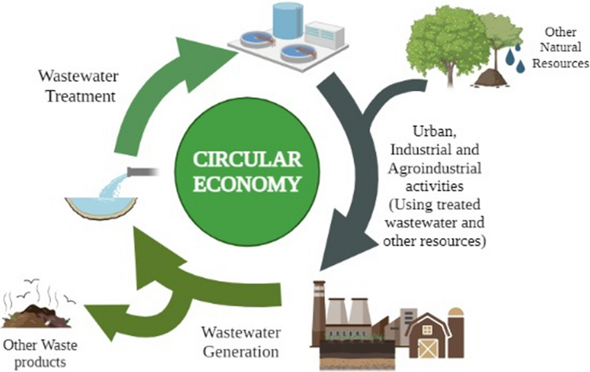 Circular Economy Consultancy Service