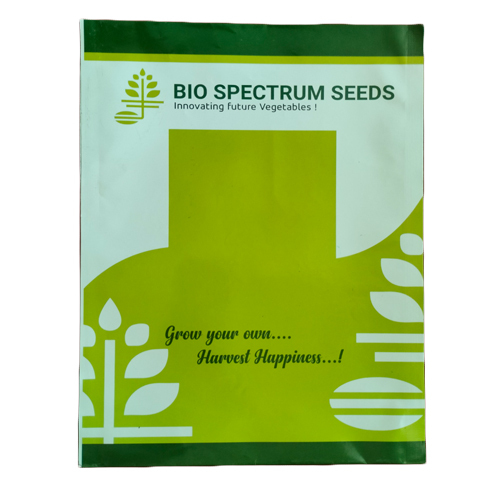 Paper Laminate Pillow Pouch