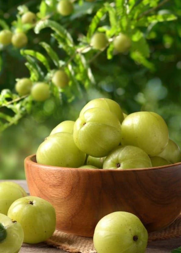 Amla Powder - Age Group: Suitable For All