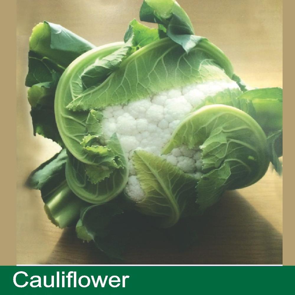 CAULIFLOWER SEEDS