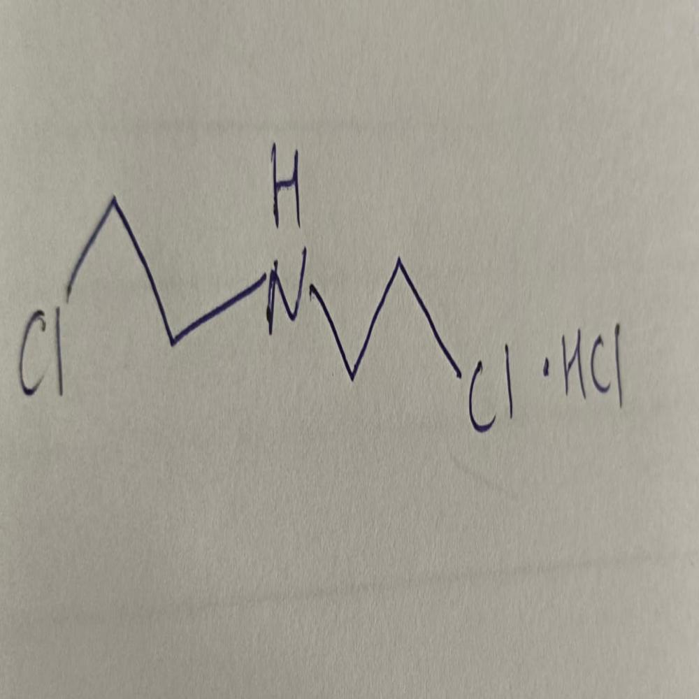 N, N BIS (2-Chloroethyl) Amine HCL CAS No. 821-48-7