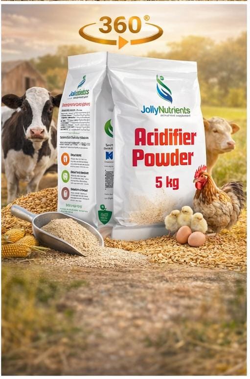 Acidifier powder