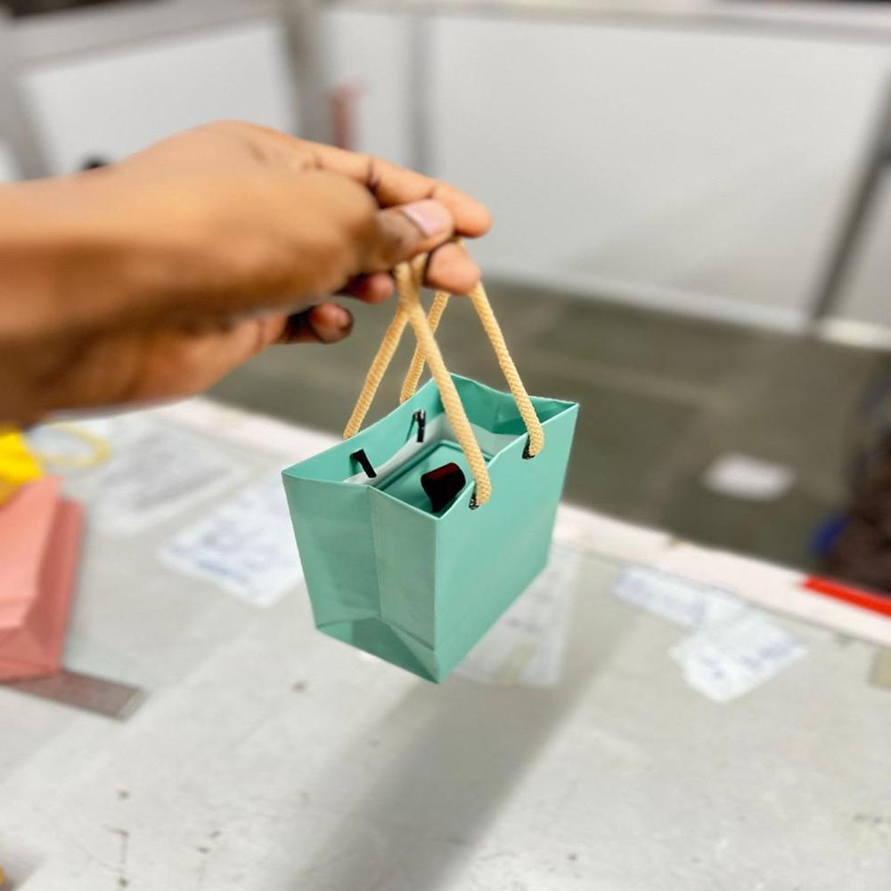 Carry Bags - Color: As Per Customer Requirement