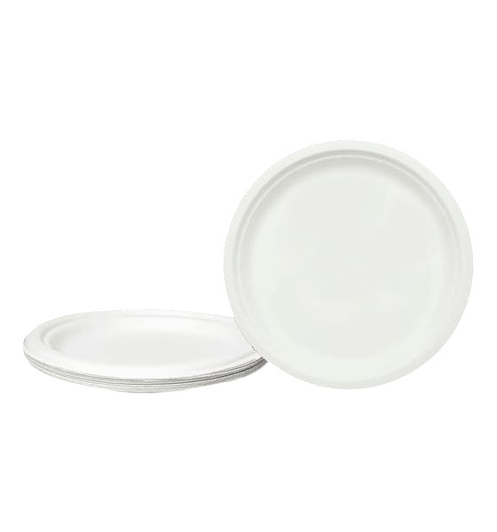 10 Inch Round Meal Plate