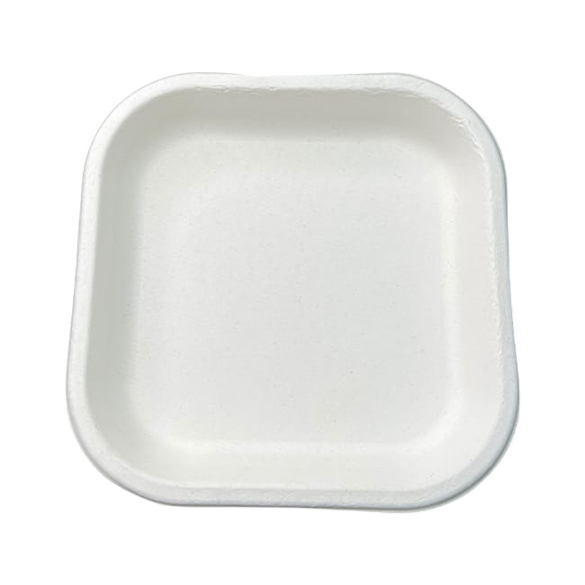 7 Inch Square Biodegradable Plate