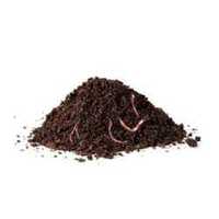 Vermicompost Fertilizer