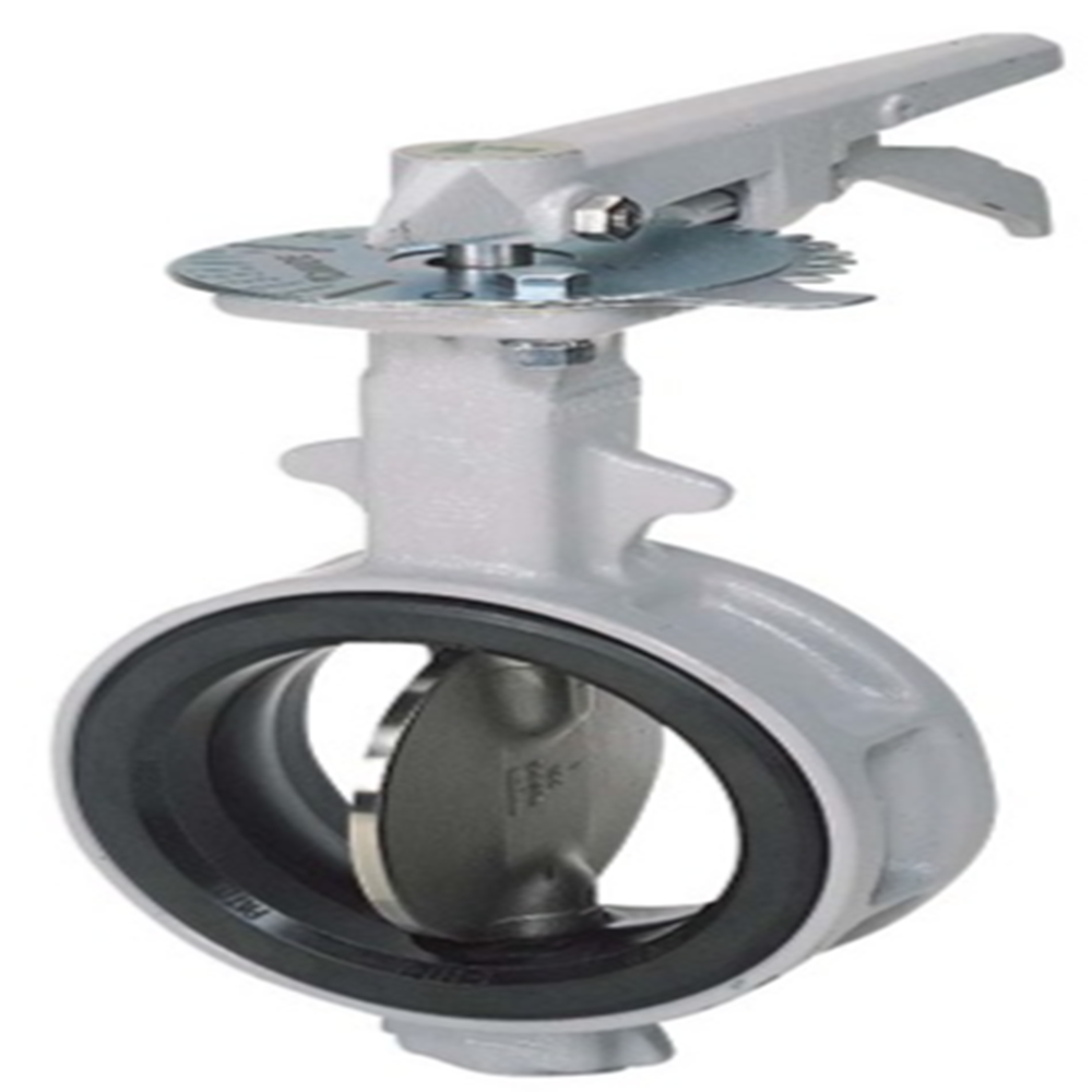 Butterfly Valve 4" - Color: Blue