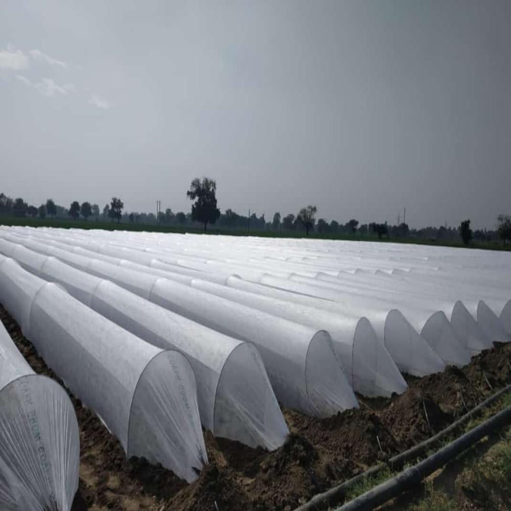 Non Woven Crop Cover