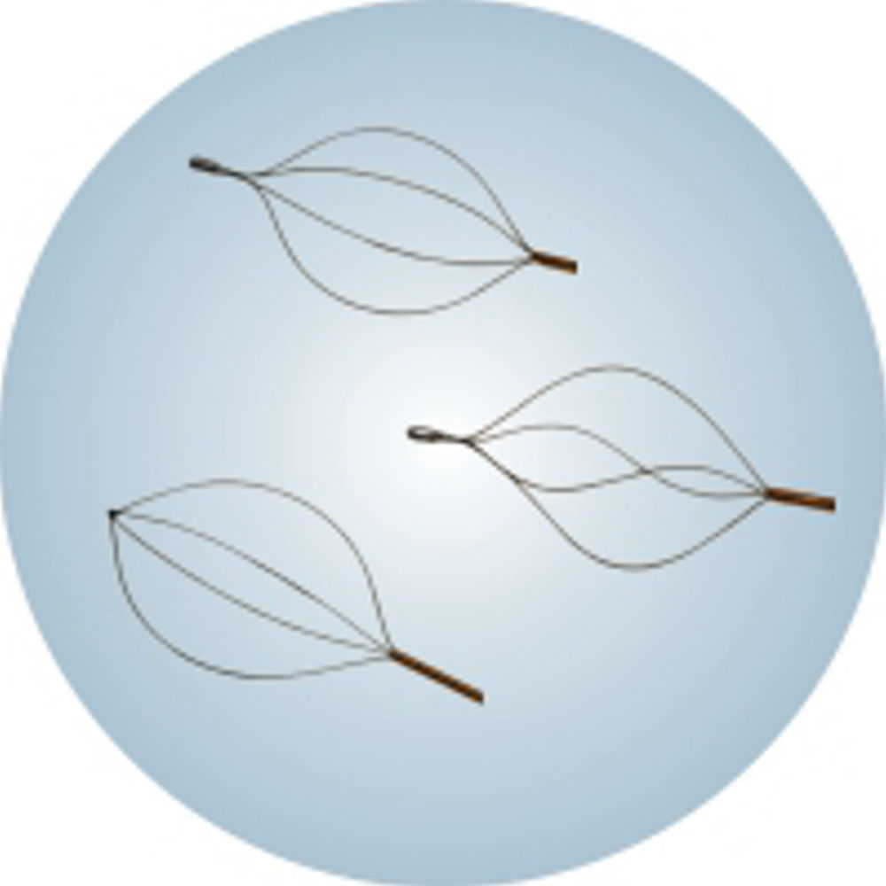 Stone Basket - Application: Medical