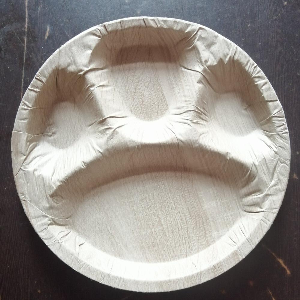 Premium 4CP paper plate