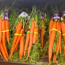 Fresh Carrot