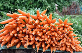 Orange Carrot