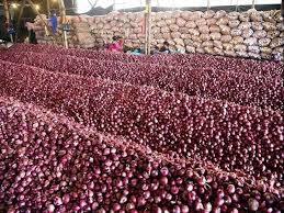 Onion Wholesale
