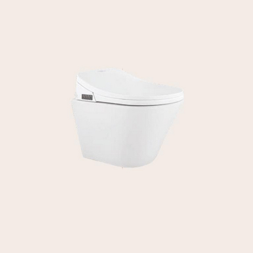 E Clenz Smart Toilet