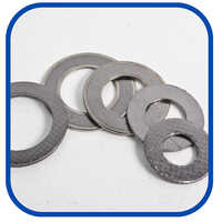 Flexible Graphite Gasket