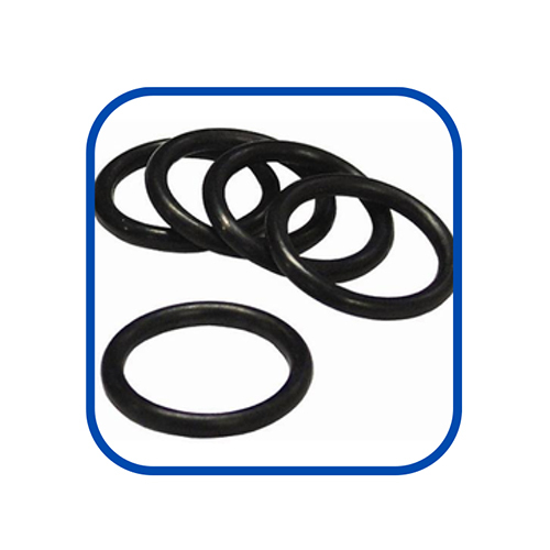 Neoprene O Ring