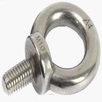 Ss Ring Bolt
