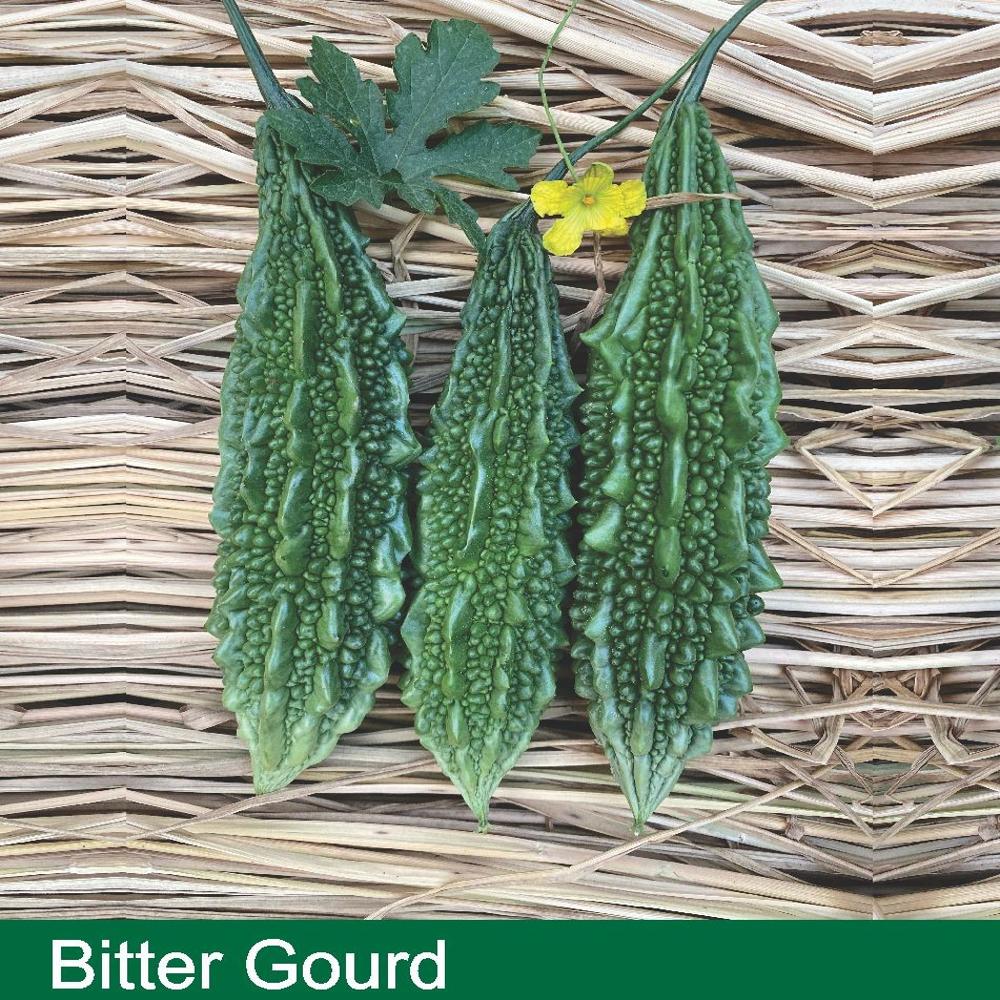 BITTER GOURD SEEDS