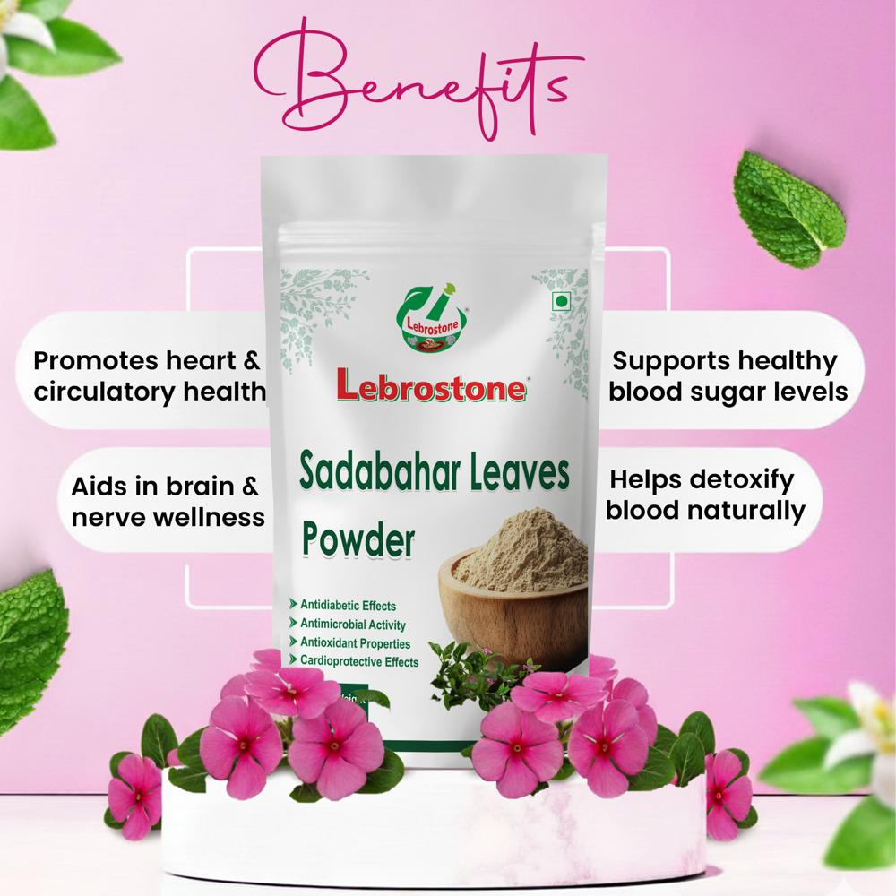 Lebrostone Sadabahar Leaves Powder | Heart Health, Brain Support & Healthy Blood Sugar | 100g