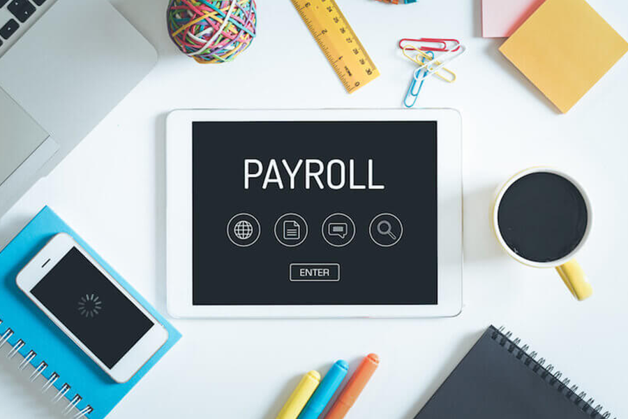 Payroll Management System Software