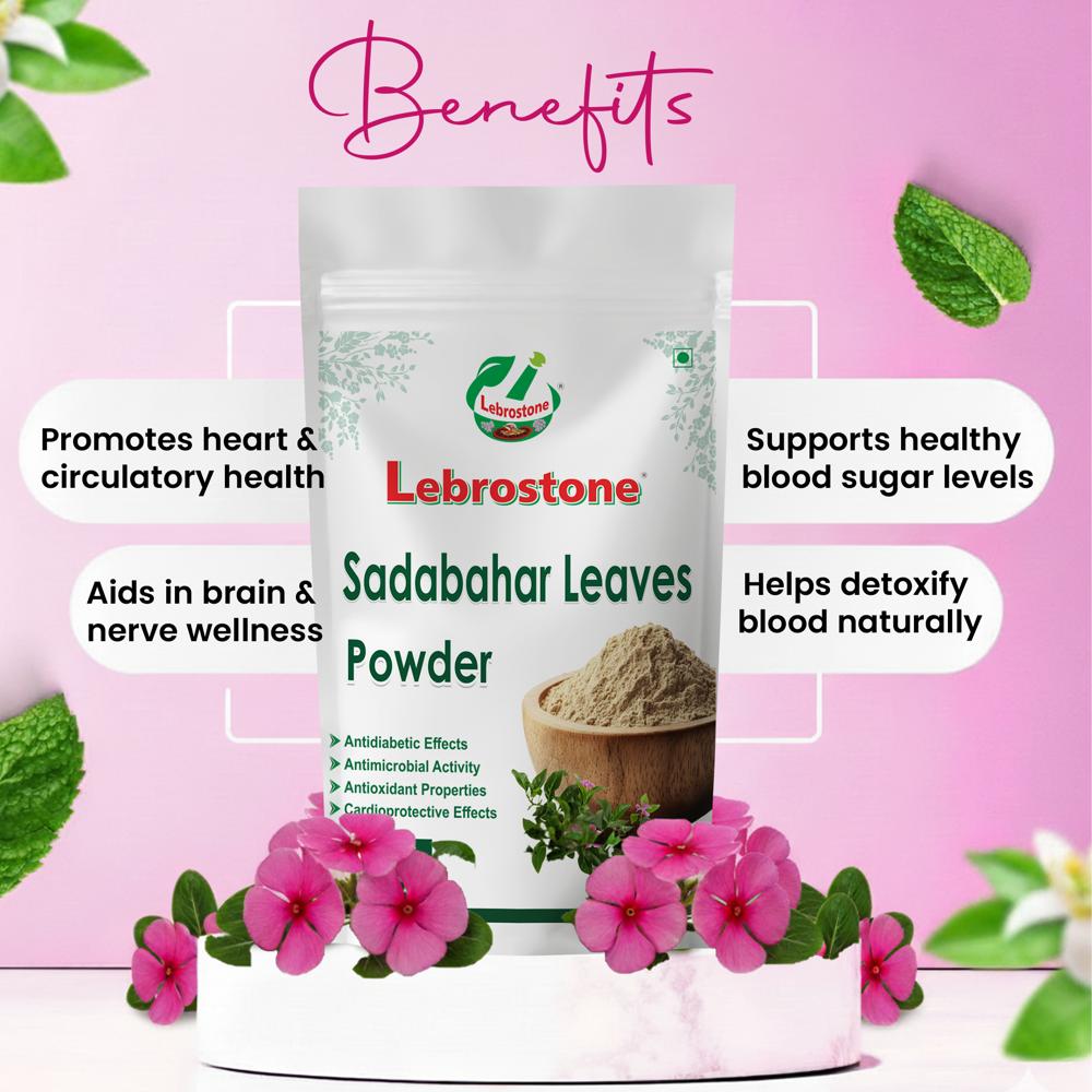 Lebrostone Sadabahar Leaves Powder | Ayurvedic Heart Health, Brain Support & Healthy Blood Sugar |200g