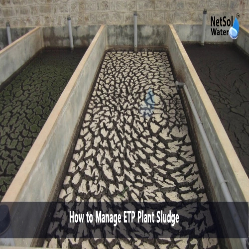 Sludge Management And Resource Recovery