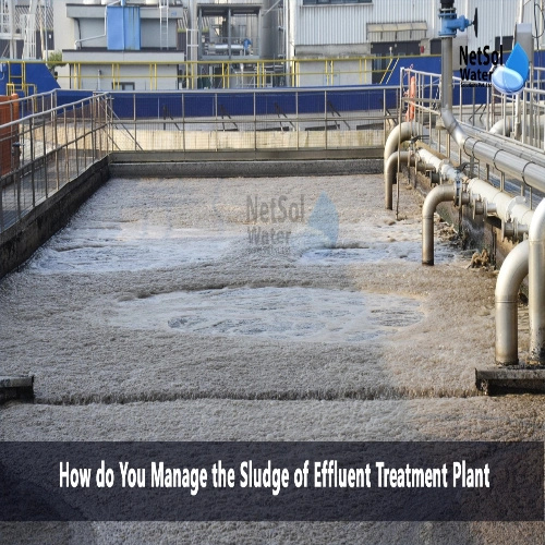 Sludge Management And Resource Recovery