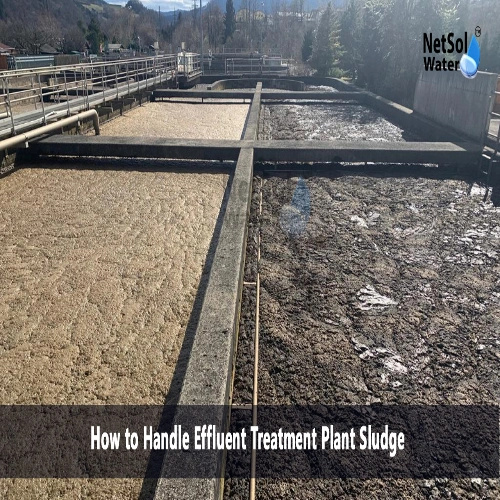 Sludge Management And Resource Recovery