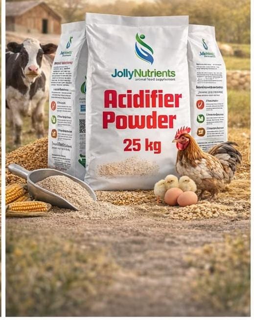 Acidifier Powder for poultry 25 kg