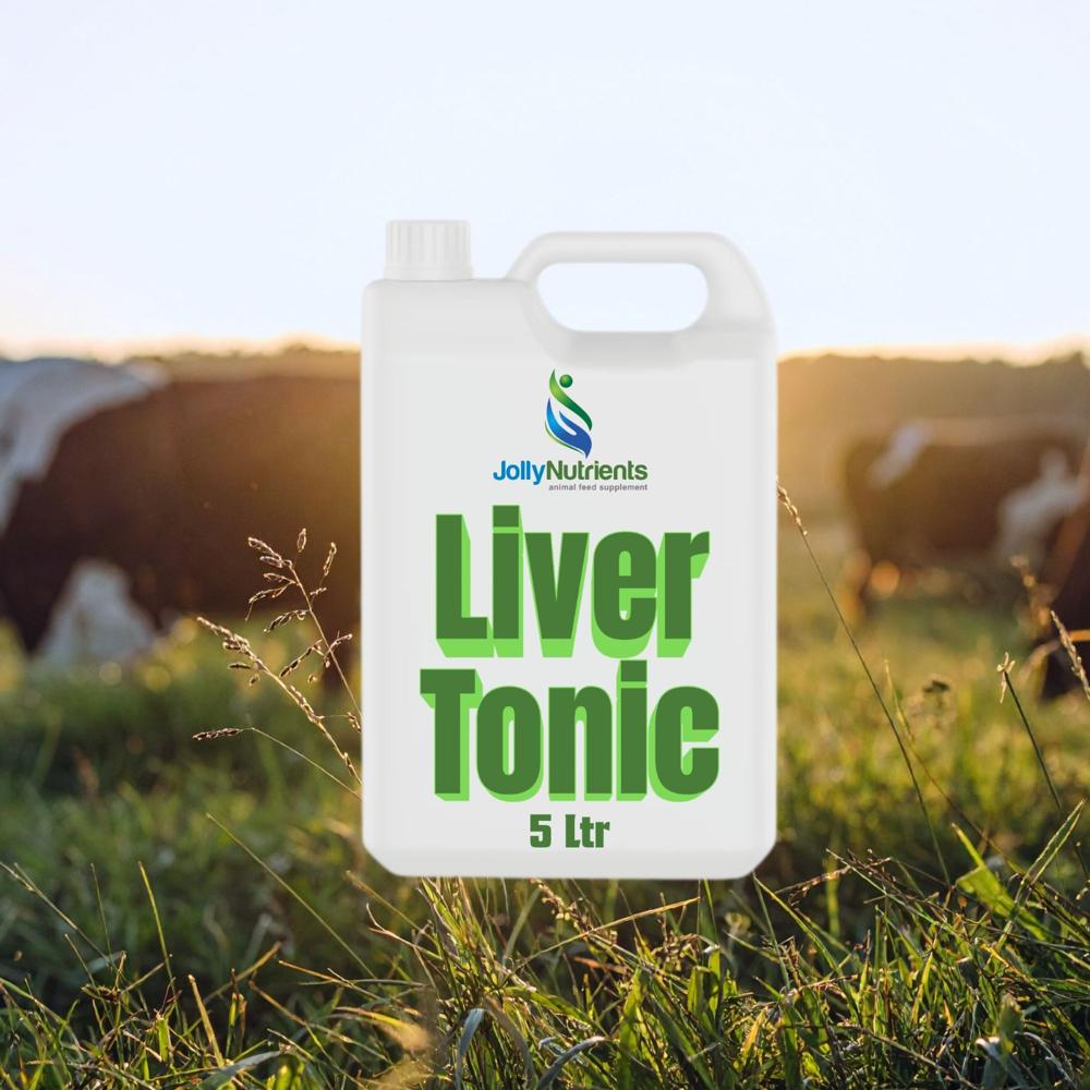 Liver Tonic 5 Ltr 