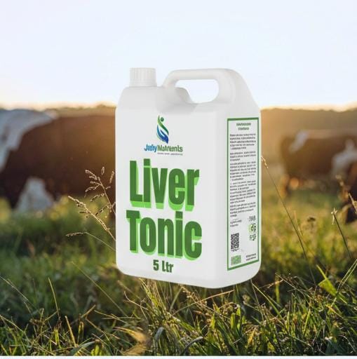 Liver Tonic 5 Ltr 